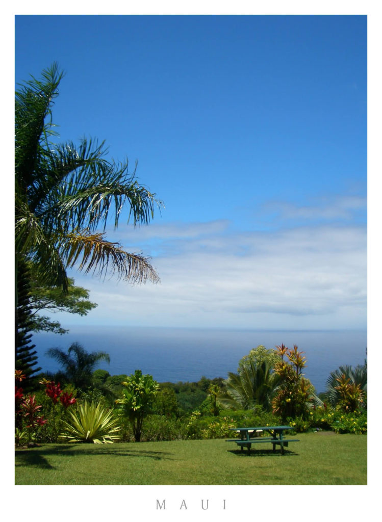 Maui_by_discojing